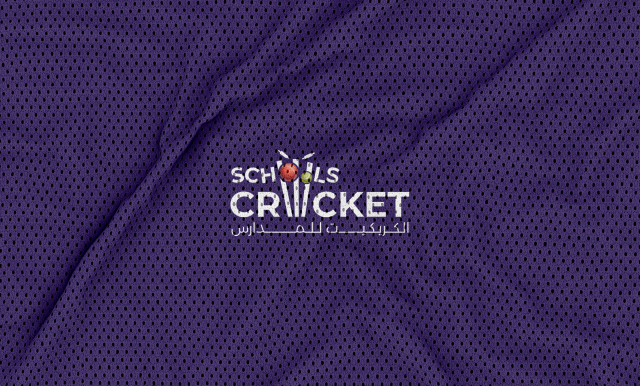 Schools Cricket Program Branding